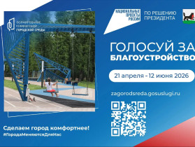 Голосование за формирование комфортной городской среды.